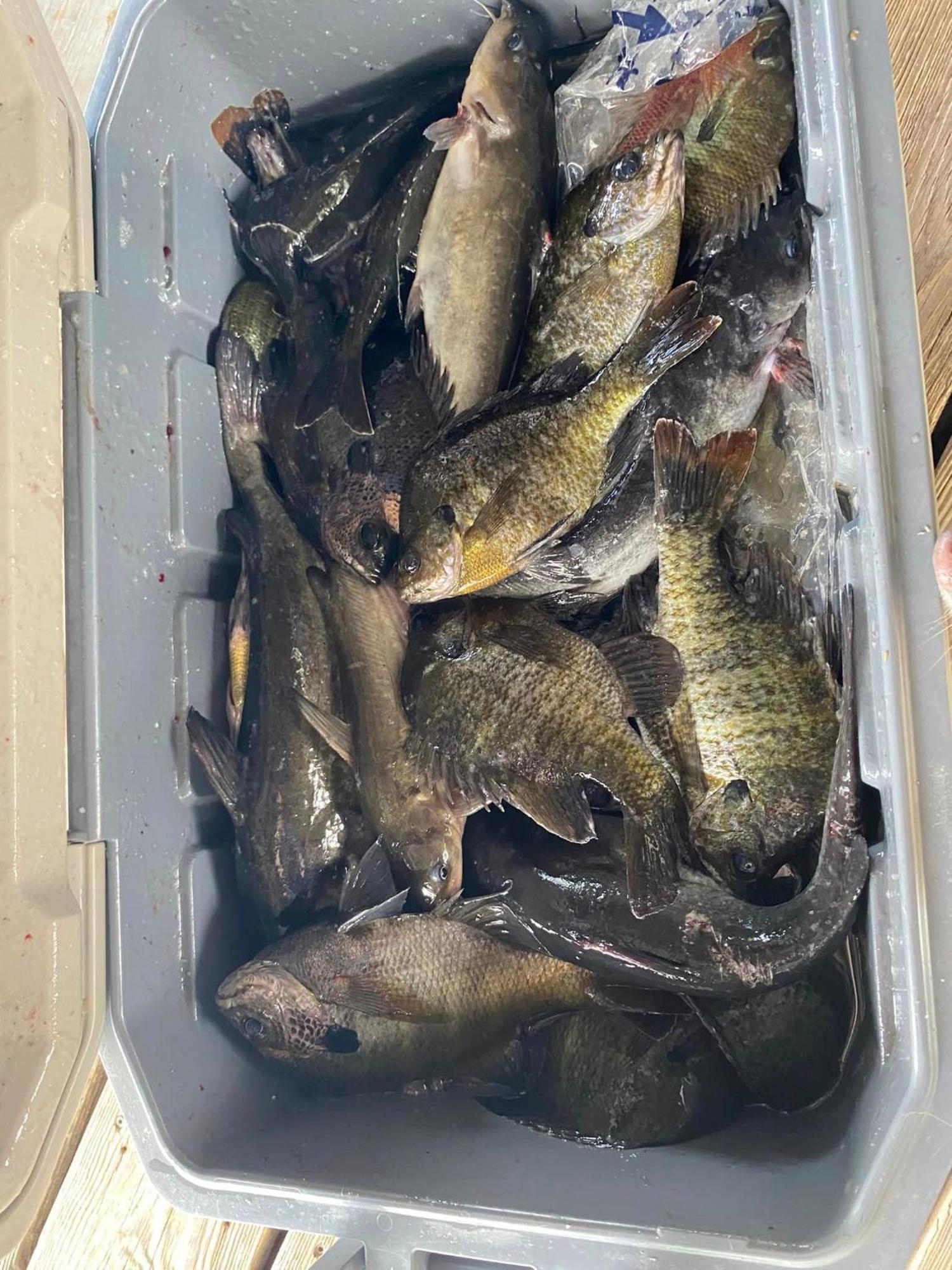 Stegbone'S Fish Camp And Resort Satsuma المظهر الخارجي الصورة